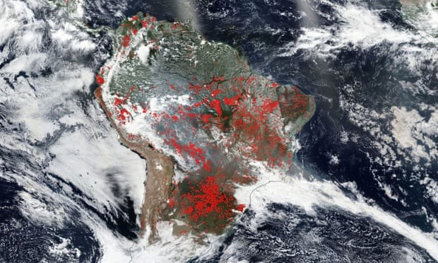 Những khu vực đang diễn ra các vụ cháy rừng ở Amazon. Ảnh: NASA.