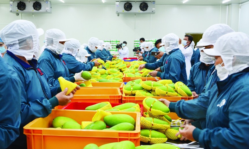 RCEP sẽ giúp mở cửa để Việt Nam nhập khẩu hàng hóa rẻ hơn, đặc biệt là các nguyên vật liệu đầu vào phục vụ sản xuất.