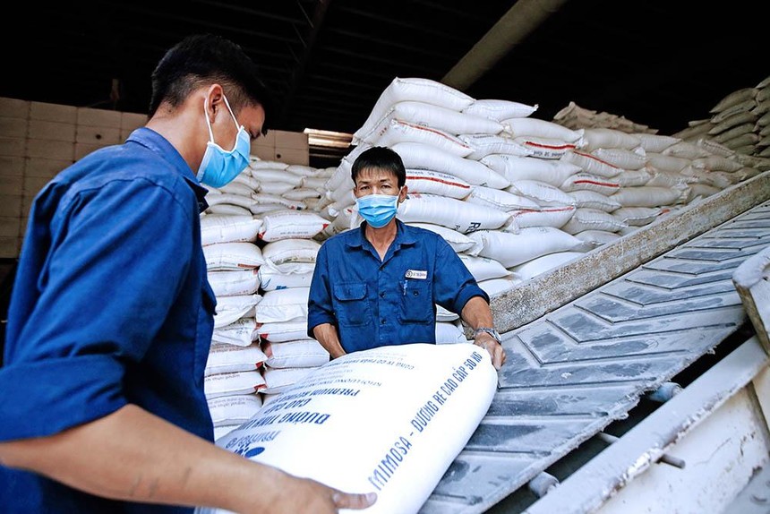 Doanh nghiệp lưu kho gạo ST24, chờ đóng gói xuất khẩu sang thị trường châu Âu Ảnh: Đức Thanh