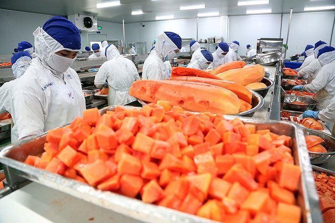Đã có 150 doanh nghiệp đăng ký xuất khẩu thực phẩm sang Trung Quốc theo quy trình đăng ký nhanh với Bộ Công Thương.