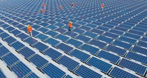 Nhà đầu tư điện mặt trời không muốn mất cơ hội