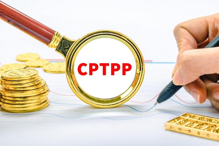 Hàn Quốc quyết định thời điểm nộp đơn gia nhập CPTPP