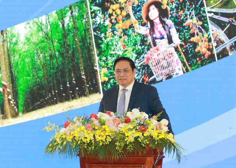 Thủ tướng khẳng định, thời gian qua, Vùng Đông Nam Bộ có đóng góp quan trọng vào thành quả chung của đất nước.