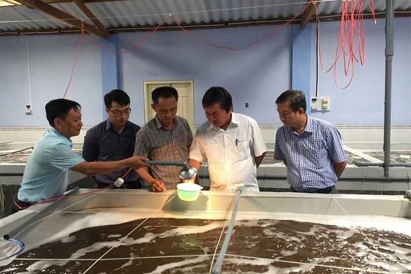 Ninh Thuận thu hút đầu tư 31 dự án về nông nghiệp ứng dụng công nghệ cao