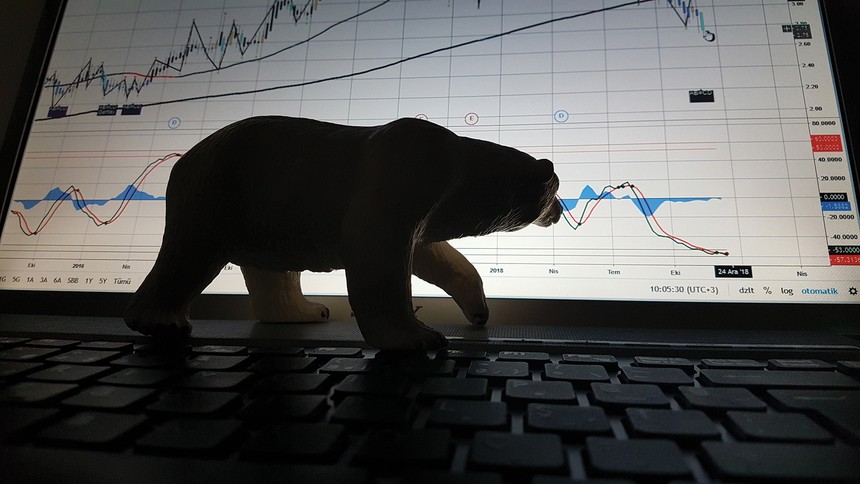 Thị trường “con gấu” năm 2022 khiến hầu hết nhà đầu tư lỗ lớn