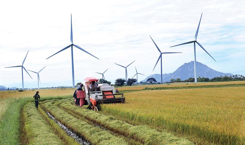 Theo Nghị quyết số 26-NQ/TW của Bộ Chính trị, Vùng Bắc Trung Bộ và Duyên hải Trung Bộ sẽ trở thành vùng sản xuất nông nghiệp có tốc độ tăng trưởng khá, hiệu quả và bền vững