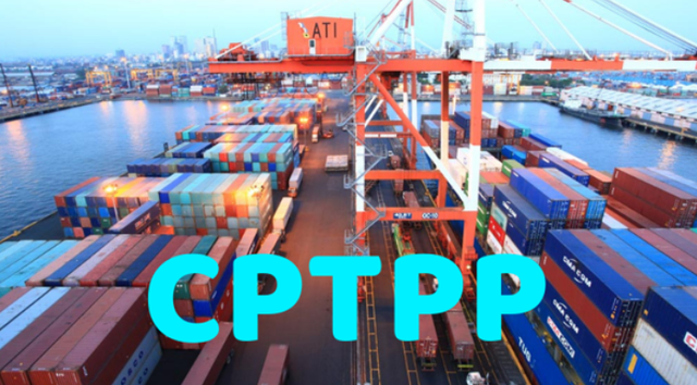 Biểu thuế xuất khẩu ưu đãi đặc biệt thực hiện Hiệp định CPTPP gồm 609 dòng thuế và biểu thuế nhập khẩu gồm 11.526 dòng thuế.