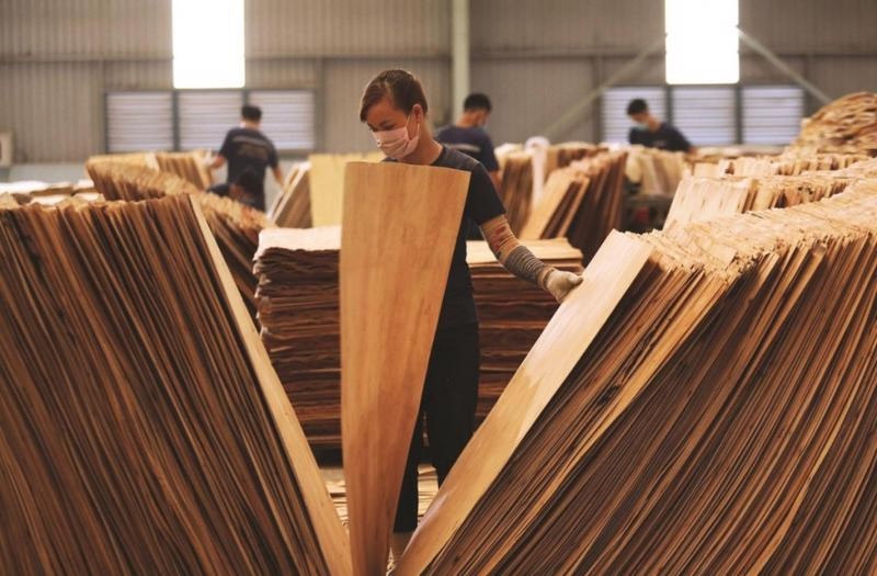 Mỹ gia hạn thời gian điều tra chống lẩn tránh thuế phòng vệ đối với gỗ dán và pin năng lượng mặt trời của Việt Nam.