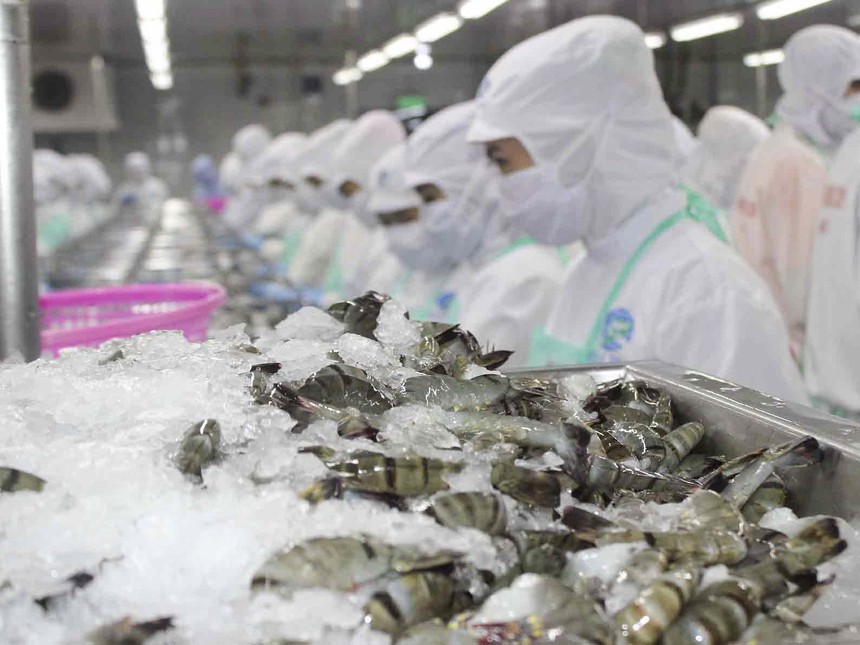VASEP đề nghị bãi bỏ hạn ngạch đối với tôm Việt Nam nhập khẩu vào Hàn Quốc