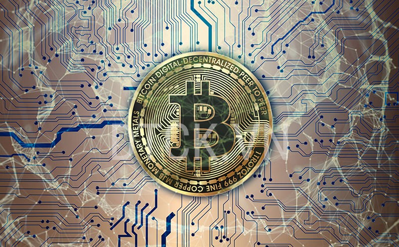Giá Bitcoin ngày 1/7: Nhiều đồng tiếp tục tăng nhẹ, Bitcoin điều chỉnh