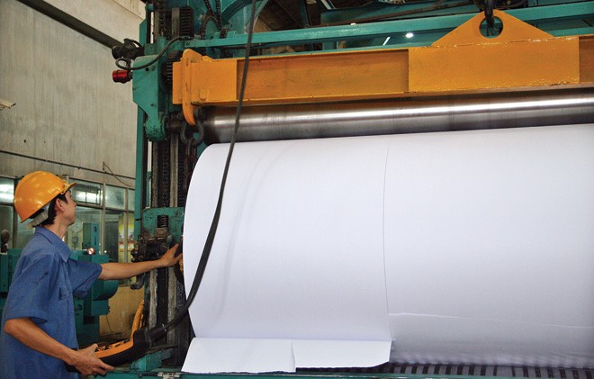 Sản xuất giấy tiếp tục phụ thuộc vào bột giấy nhập khẩu