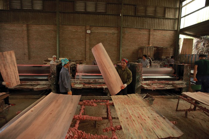 Công nghiệp chế biến gỗ hiện có hơn 2.630 doanh nghiệp