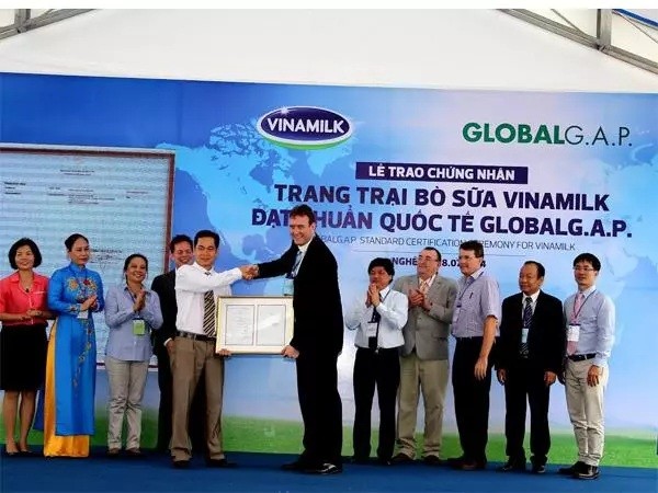 Trang trại bò sữa của Vinamilk nhận chứng nhận đạt chuẩn quốc tế Gloabl G.A.P