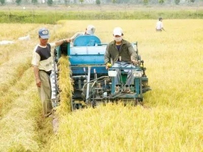 Việt Nam đang trở thành thị trường tiềm năng cho các loại máy nông nghiệp