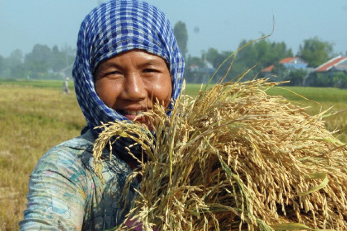 Đầu tư cho nông nghiệp, thực hiện “Tam nông” là ưu tiên hàng đầu của Agribank - Ảnh: Hoài Nam