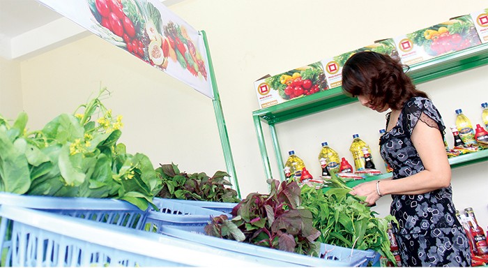 Tập đoàn Geleximco đang quan tâm đến lĩnh vực rau sạch và hoa quả 