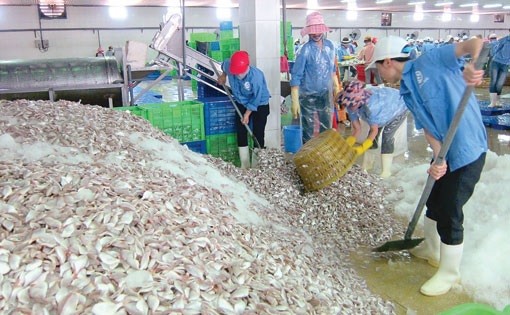 Doanh nghiệp chế biến thủy sản tại Thanh Hóa ‘đói’ nguyên liệu