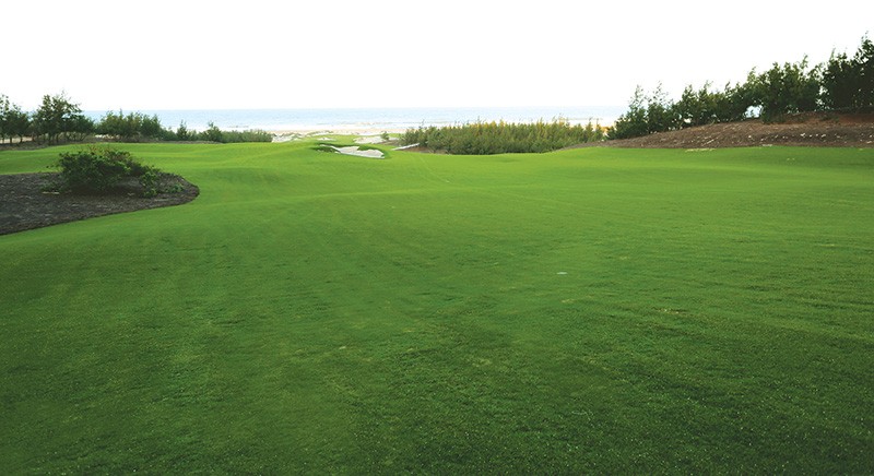 Sân golf FLC Quy Nhơn Golf Links (thuộc Quần thể FLC Quy Nhơn) lập kỷ lục thế giới về thi công nhanh (5 tháng)