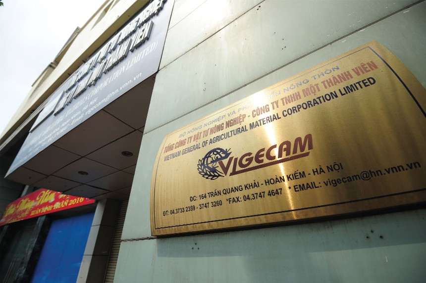 Vigecam quản lý quỹ đất thuê của Nhà nước rất lớn tại Hà Nội, Hải Phòng và TP. HCM, nhwng trong phương án cổ phần hóa Tổng công ty, giá trị tài sản đất đai bằng 0