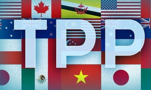 12 quốc gia thành viên đang xem xét phê chuẩn TPP ra sao? 