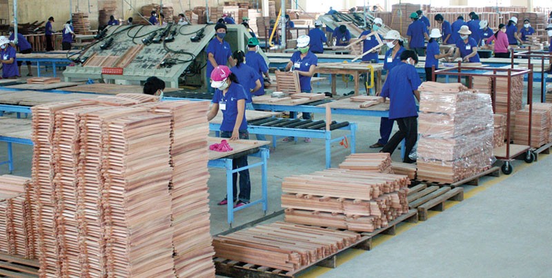 Hơn 93% doanh 
nghiệp gỗ tại Việt 
Nam có quy mô nhỏ và
 vừa, hầu hết đều thiếu vốn, thiếu thông tin thị trường
