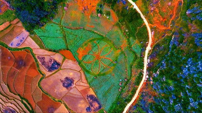 Ngoài cao nguyên đá, Hà Giang còn nổi tiếng với những cánh đồng hoa tam giác mạch. Nhìn từ trên cao, những cánh đồng xanh nổi bật trên nền đất đỏ của vùng núi Hà Giang tạo thành những mảng màu rất đẹp mắt.