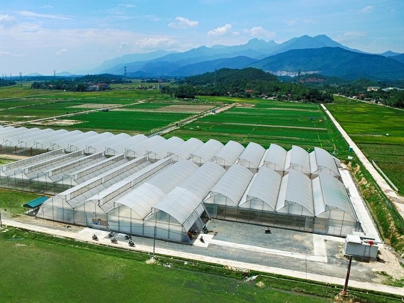 Ngân hàng Nhà nước đang hướng tín dụng vào lĩnh vực nông nghiệp công nghệ cao. Trong ảnh: Khu trồng rau an toàn của Công ty VinEco (Tam Đảo). Ảnh: Chí Cường