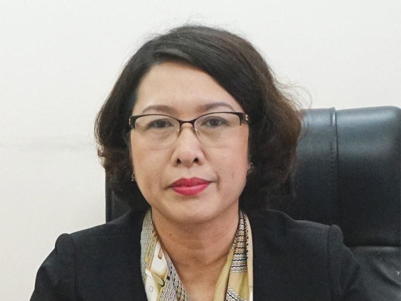 Bà Trần Thị Hồng Minh, Cục trưởng Cục Quản lý đăng ký kinh doanh (Bộ Kế hoạch và Đầu tư)