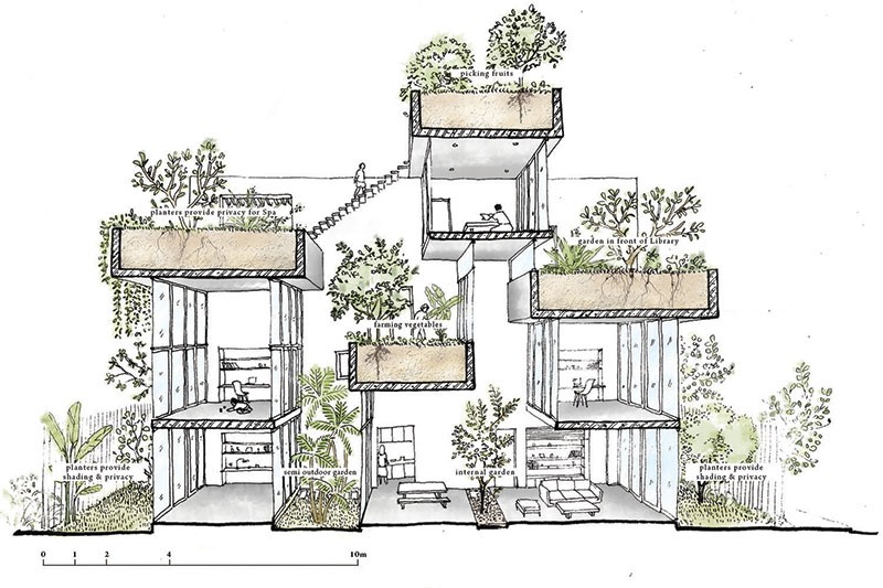 Binh House, ​căn nhà xanh của nhà thiết kế Võ Trọng Nghĩa
