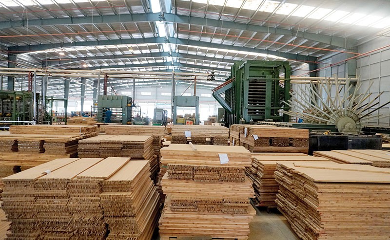 Nhà máy sản xuất tre ép công nghiệp BWG tại Mai Châu của SJF