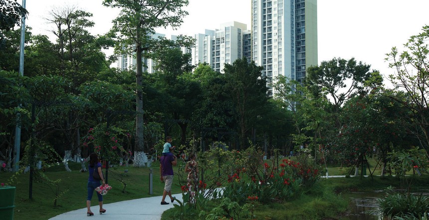 Dự án xanh tại Việt Nam phải đảm bảo 5 tiêu chí, trong đó có mật độ cây xanh. Ảnh: Dũng Minh