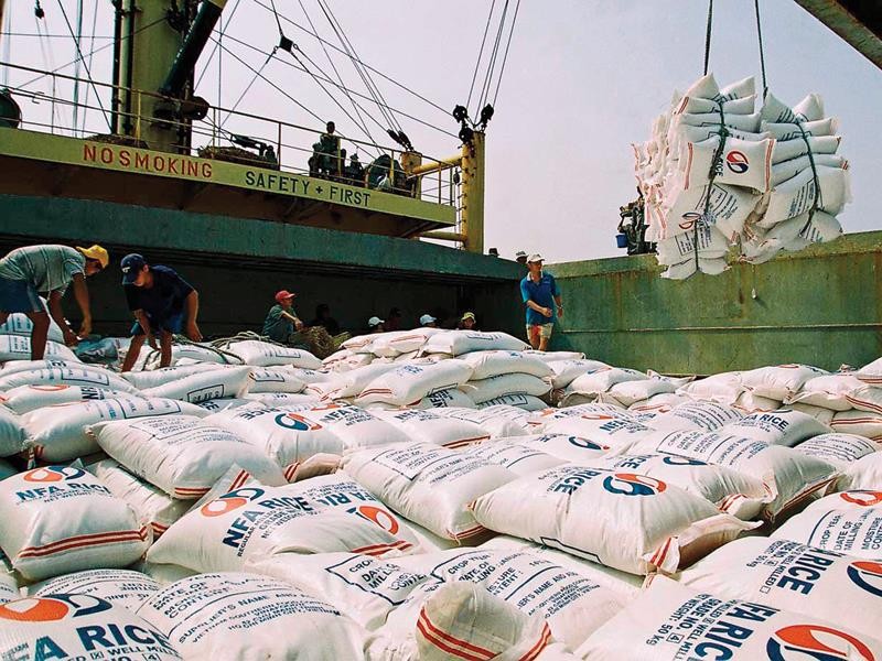 Nghị định 109/2011/NĐ-CP yêu cầu doanh nghiệp muốn xuất khẩu gạo phải có kho chứa 5.000 tấn gạo, nhà máy xay xát công suất 10 tấn/giờ…