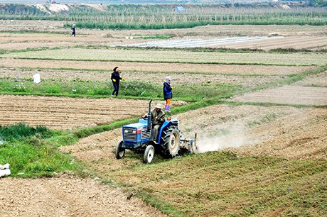 Đất nông nghiệp chiếm tỷ lệ gần 75% diện tích đất tỉnh Quảng Ninh