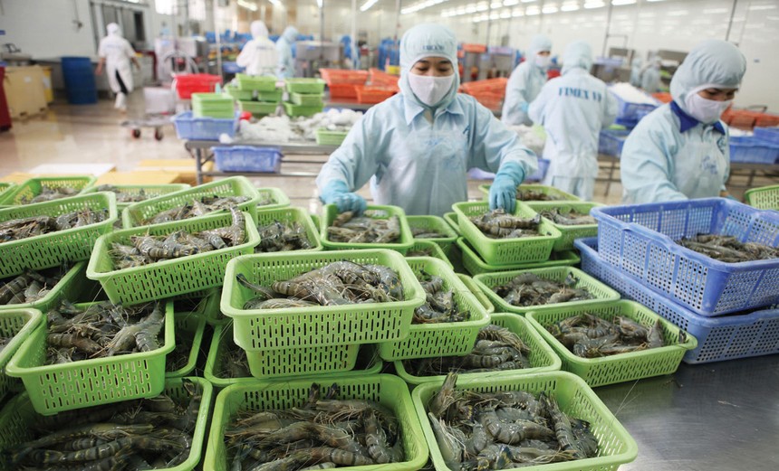 Nhiều doanh nghiệp thủy sản Việt Nam đang đẩy mạnh xuất khẩu chính ngạch sang thị trường Trung Quốc