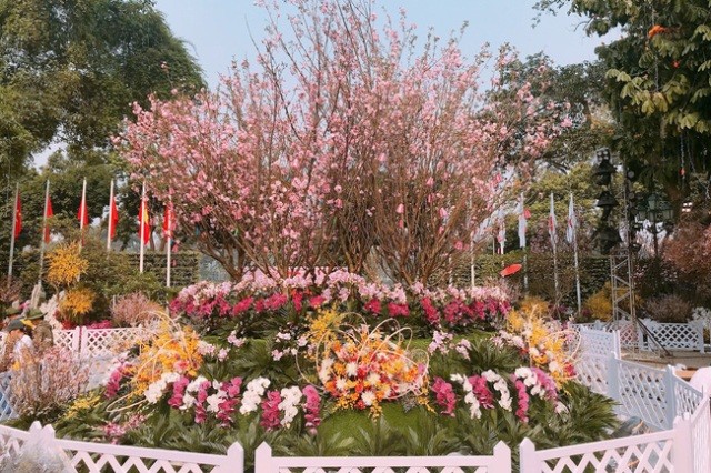 Lễ hội quy tụ 20.000 cành hoa anh đào cùng nhiều loài hoa đặc trưng của Việt Nam (Ảnh minh họa: Internet)