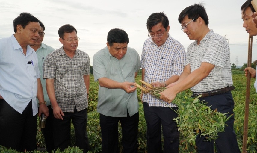 Bộ trưởng Nguyễn Chí Dũng cùng đoàn công tác kiểm tra mô hình trồng sâm Bố Chính tại xã Gio An, huyện Gio Linh