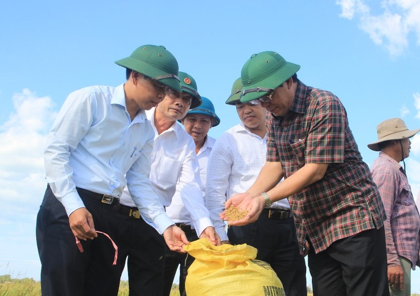 Tỉnh Quảng Trị sẽ có thêm chính sách để hỗ trợ địa phương nhân rộng các mô hình sản xuất theo hướng hữu cơ organic.