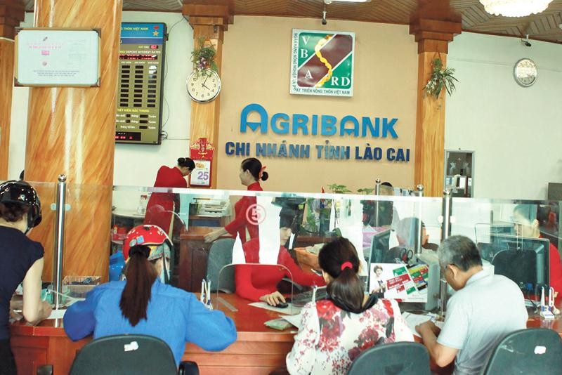 Trong 7 tháng đầu năm, Agribank đạt lợi nhuận 8.200 tỷ đồng. Ảnh: Đức Thanh