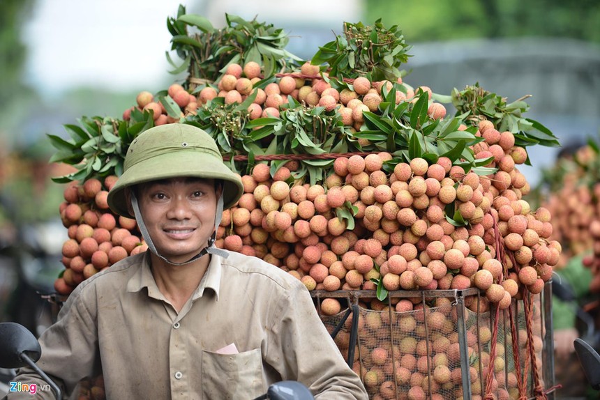 Dự kiến kim ngạch xuất khẩu rau quả của Việt Nam trong năm nay sẽ đạt 4,1 tỷ USD, trong đó Trung Quốc là thị trường chính. Ảnh: Hoàng Đông.