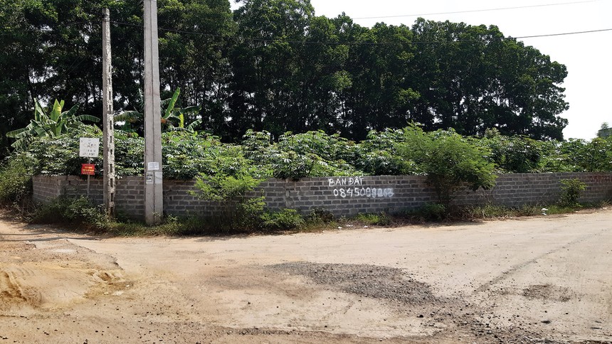 Thông báo bán đất xuất hiện nhiều nơi ở Phú Cát. Ảnh: Thanh Huyền