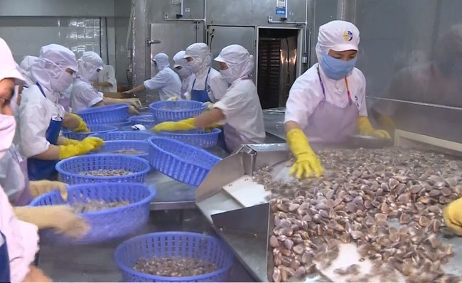 Với việc mở cửa thêm 03 loại thủy sản, đã có 48 loài thủy sản các loại của Việt Nam được Trung Quốc cập nhật vào Danh mục các sản phẩm thủy sản của Việt Nam được phép xuất khẩu vào Trung Quốc để làm thực phẩm.