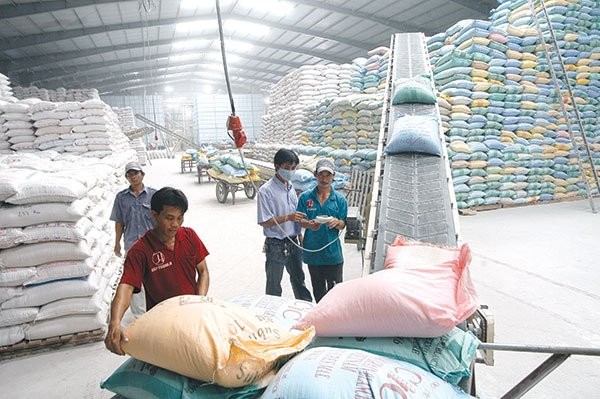 Số liệu gạo sản xuất, dự trữ và xuất khẩu mà Bộ Công Thương nắm được đã có độ vênh nhất định so với thực tế, đặc biệt là sản lượng tại đồng bằng sông Cửu Long và lượng tồn kho trong dân