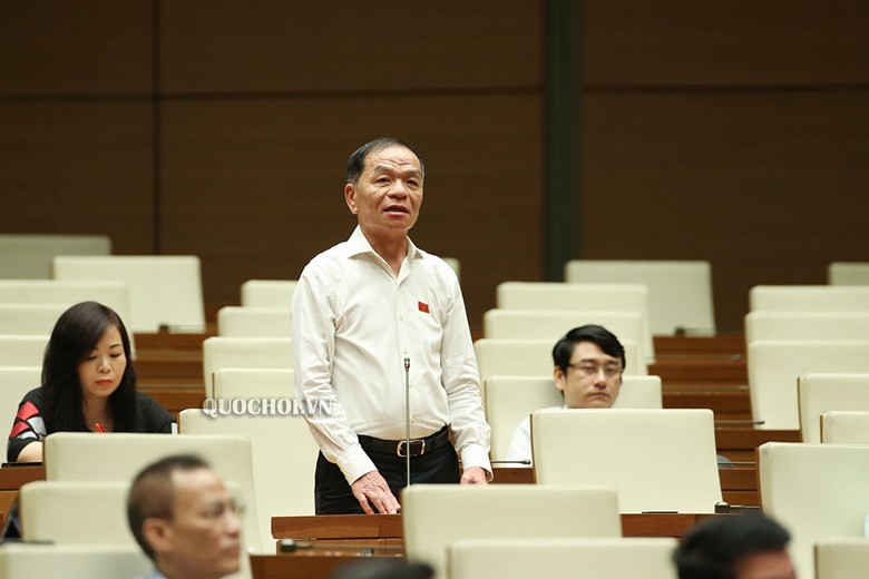 Đại biểu Lê Thanh Vân phát biểu tại Quốc hội.