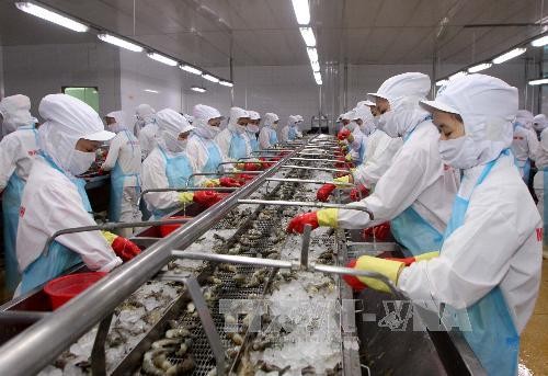 Tổn thất cho việc xuất khẩu hải sản từ Việt Nam sang EU khi bị thẻ vàng, tính trung bình có thể lên đến 10.000 Euro/container.