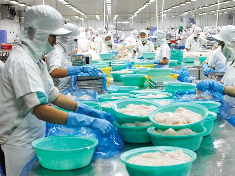 Với EVFTA, thuế nhập khẩu giảm làm tăng thêm khả năng cạnh tranh của thủy sản Việt Nam. Ảnh: Đức Thanh