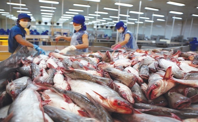 Hiệp định EVFTA có hiệu lực từ 1/8/2020 có thể sẽ là một “cú hích” cho xuất khẩu thủy sản Việt Nam trong những tháng cuối năm. 