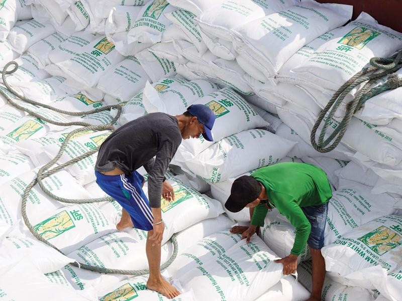 Thực thi EVFTA, EU cam kết dành cho Việt Nam xuất khẩu 80.000 tấn gạo vào thị trường này với thuế suất 0%. Ảnh: Đức Thanh
