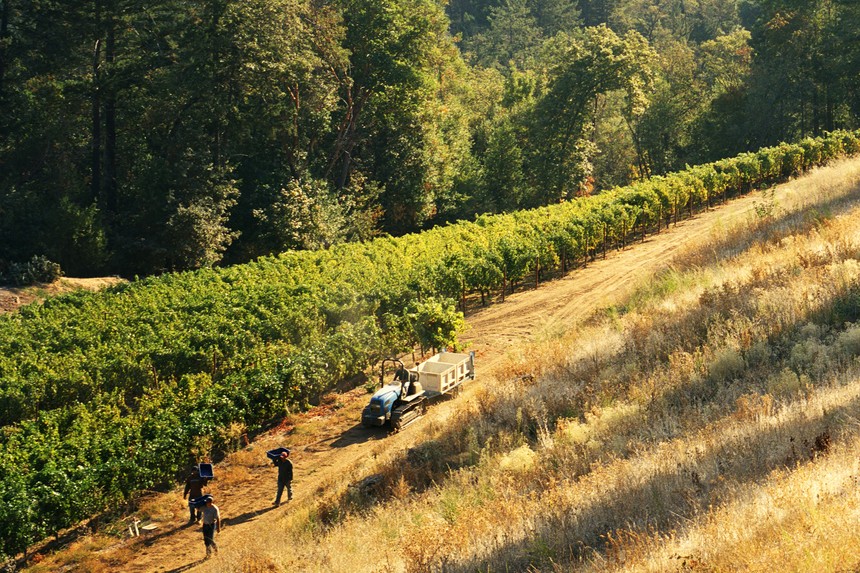 California là vùng sản xuất rượu vang lớn nhất nước Mỹ. Ảnh Internet
