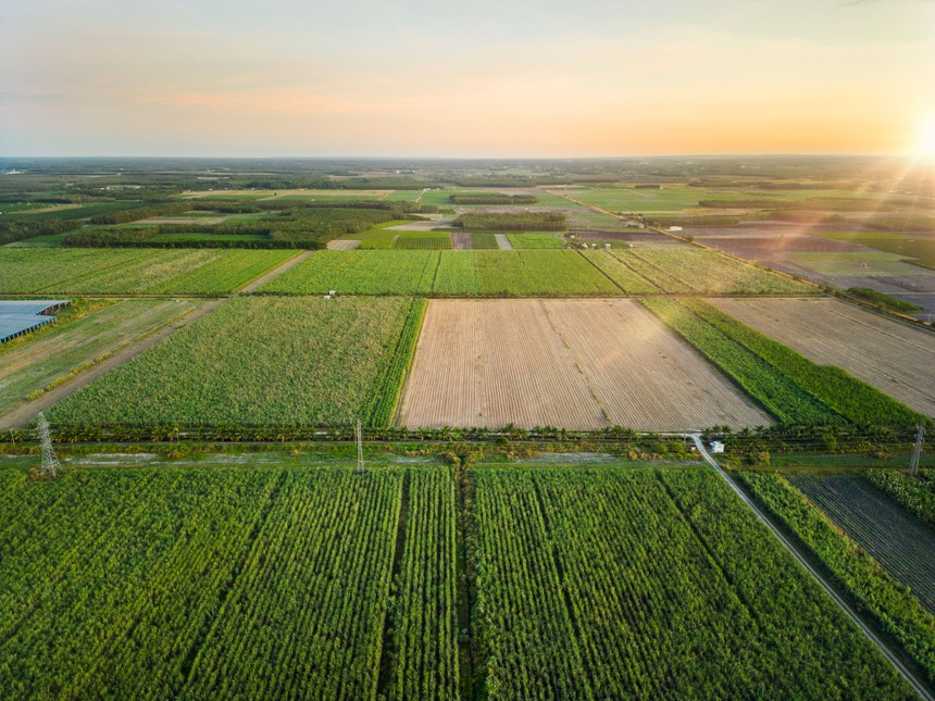 Phát triển vùng nguyên liệu hiện đại bền vững theo hướng mô hình kinh doanh kinh tế nông nghiệp thông minh, tích hợp, TTC AgriS tiến tới khẳng định vị thế là “Nhà cung cấp các Giải pháp nông nghiệp công nghệ cao trên nền tảng phát triển bền vững”