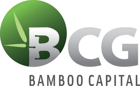BCG tổ chức đối thoại với nhà đầu tư 